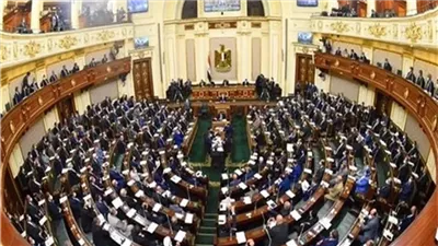 النواب يعلن الموافقة على قانون إنشاء ميناء جاف بـ العاشر من رمضان