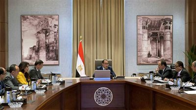 الحكومة تعلن توفير التمويل اللازم لشراء الأقطان المصرية