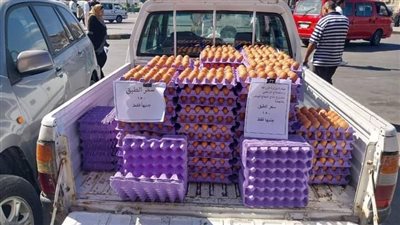 وزير الزراعة يوجه بالتوسع في القوافل الغذائية والمنافذ الثابتة والمتحركة