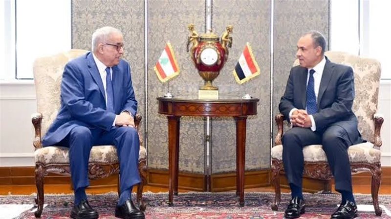 وزير الخارجية المصري