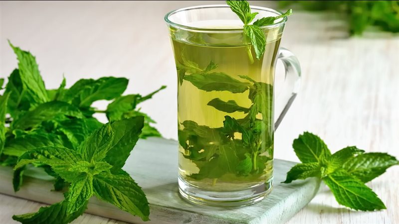 النعناع