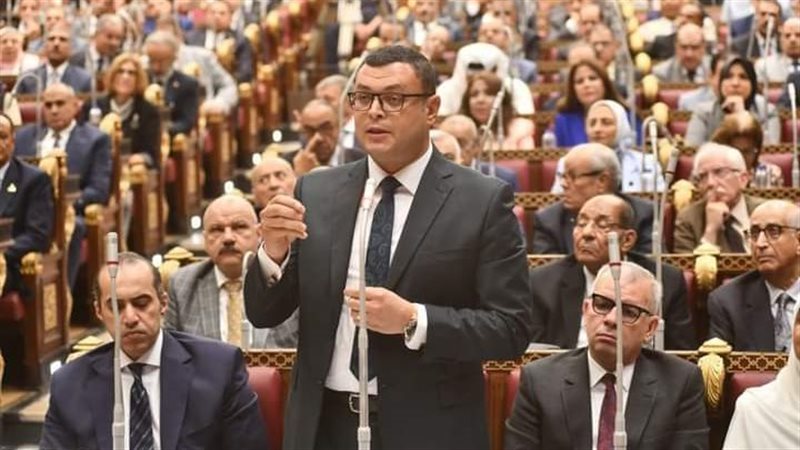 المهندس شريف الشربيني