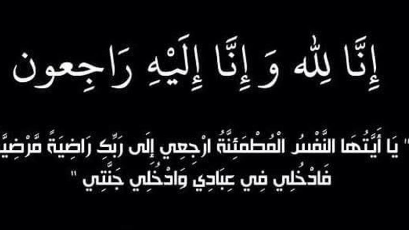 القارئ نيوز