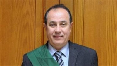 10 ديسمبر.. محاكمة المتهمين بـ «خلية المرج الثالثة»