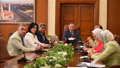 محافظ بورسعيد يبحث سبل التعاون مع مركز المعلومات بمجلس الوزراء