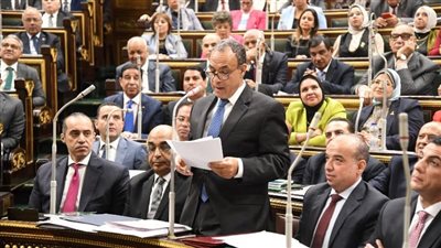 وزير الخارجية: قانون الإجراءات الجنائية الجديد يمثل نقلة نوعية في حقوق الإنسان