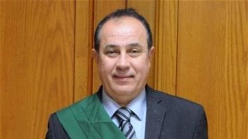 المستشار وجدى عبد
