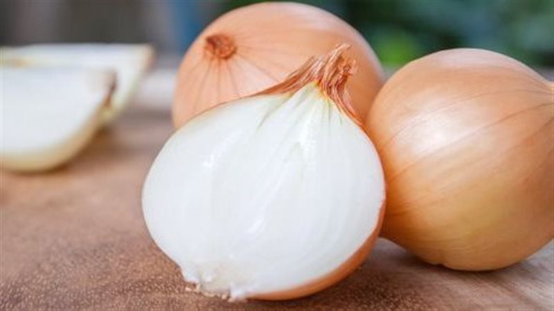 البصل