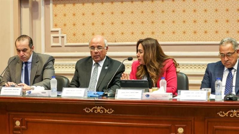 وزيرة التنمية المحلية