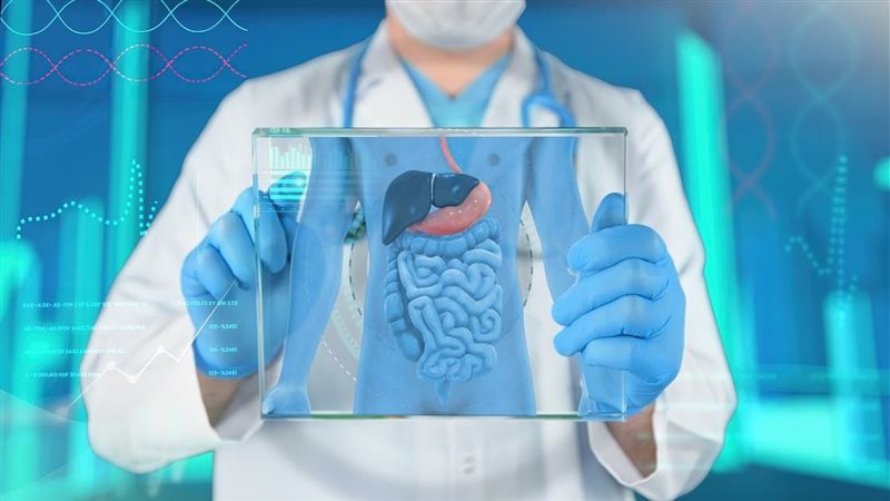 الأمعاء