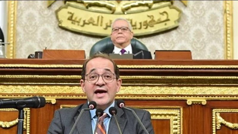 وزير المالية