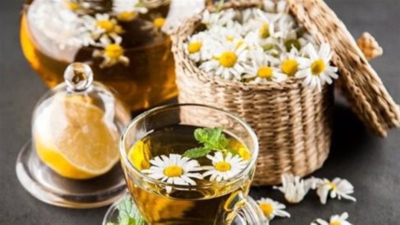 البابونج