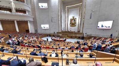 نائبة: التدريب والتأهيل السبيل الآمن للحد من الهجرة غير النظامية