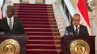 وزير العلاقات الدولية بجنوب أفريقيا: نعمل مع مصر على دعم زيادة الاستثمارات
