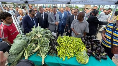 موعد ومكان انطلاق «سوق اليوم الواحد» بالقاهرة