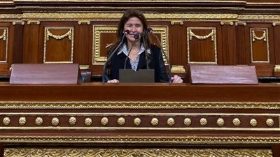 نائبة: إعادة تشغيل شركة النصر شهادة على قدرة مصر للإنتاج والتصدير