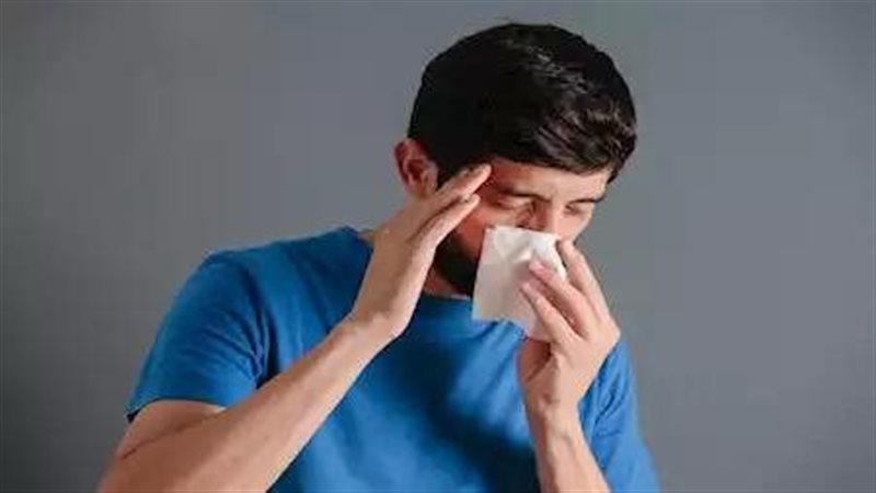 الجيوب الأنفية