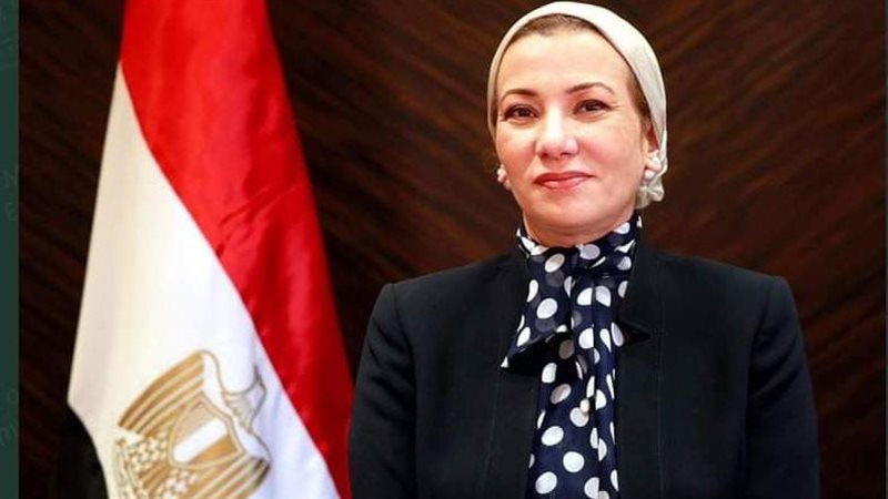 الدكتورة ياسمين فؤاد
