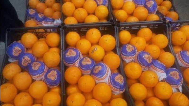 البرتقال