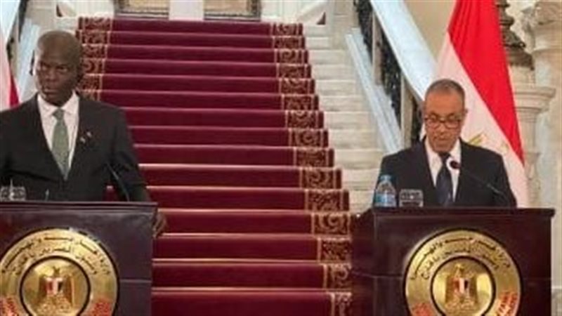 وزير الخارجية المصري