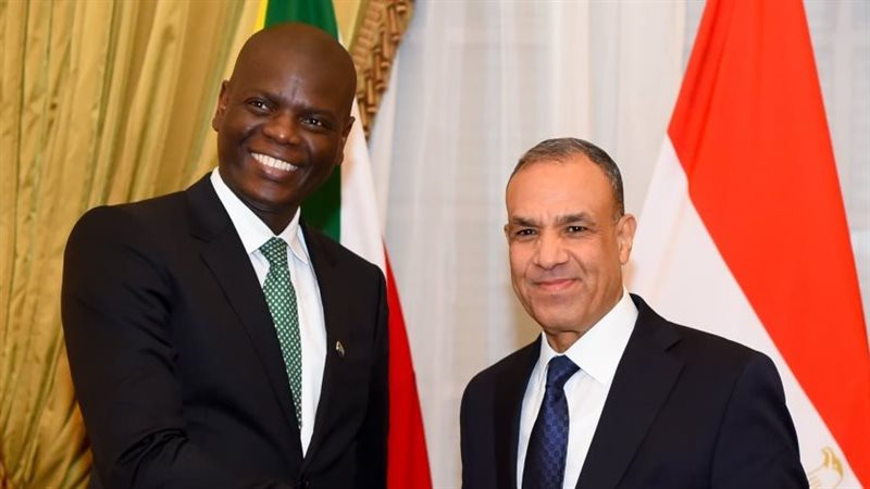 وزيرا الخارجية المصري