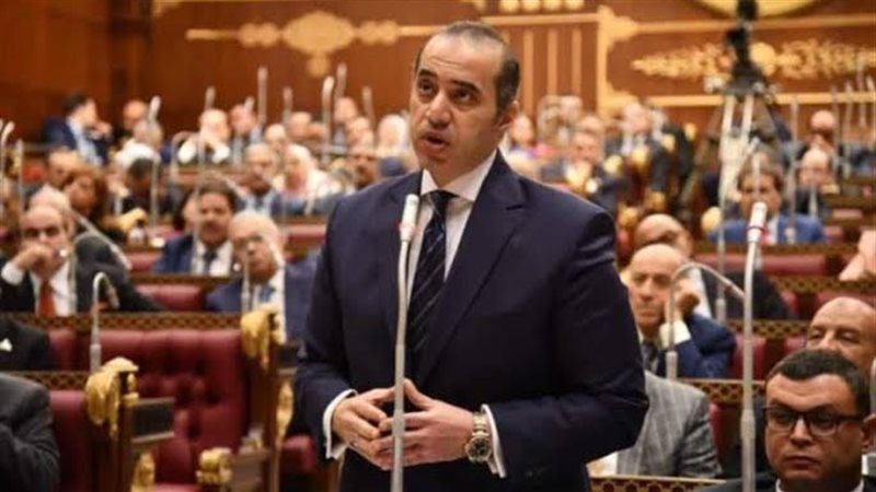 النائب محمود فوزي