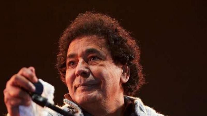القارئ نيوز