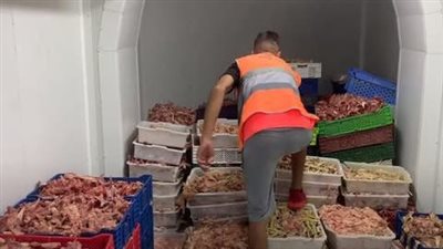 أمن القاهرة يصادر لحوم وأسماك فاسدة داخل مطعمين بالتجمع الأول 