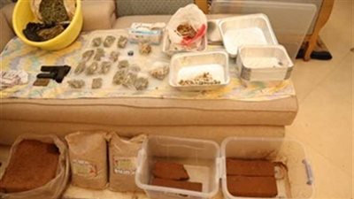 بعد زراعته لأول مرة بمصر.. تعرف على مخدر «الماجيك مشروم»