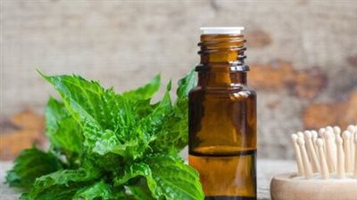 فوائد زيت النعناع للشعر: من تحفيز نموه إلى تعزيز لمعانه