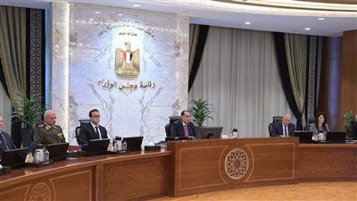 لتنشيط الاستثمار.. الوزراء يُوافق على الرؤية المقترحة لتنظيم سوق السيارات 2025