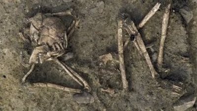 العثور على هيكل عظمى لامرأة مقطوعة الرأس بمقبرة من العصر الحجري بفرنسا