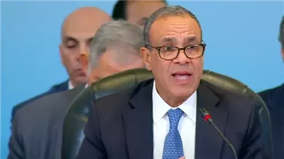 وزير الخارجية يستعرض جهود مصر لتنفيذ وقف إطلاق النار وتسوية الصراع الفلسطيني 
