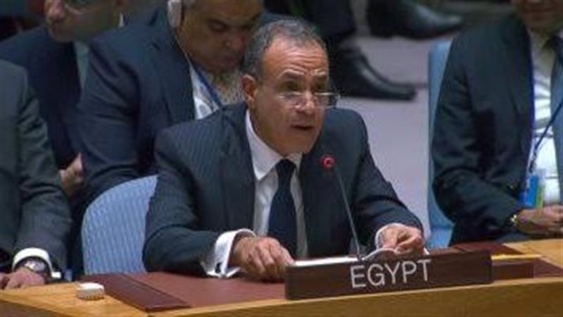الدكتور بدر عبد العاطي