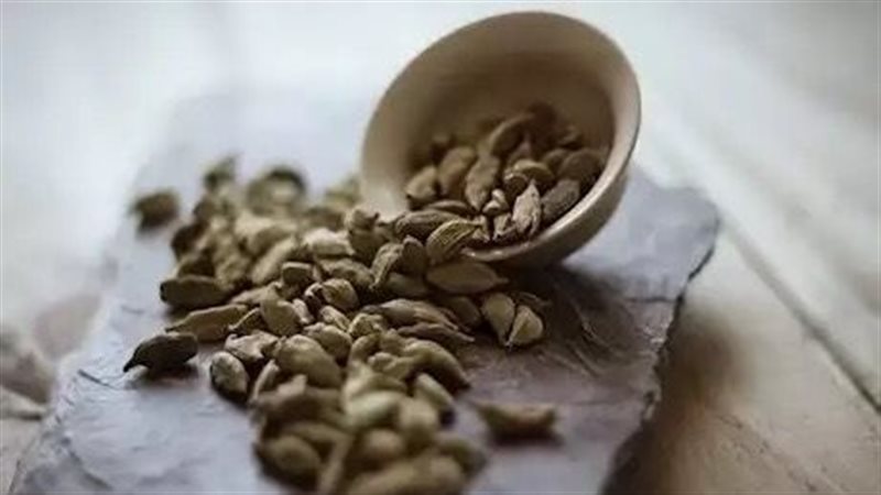 الحبهان