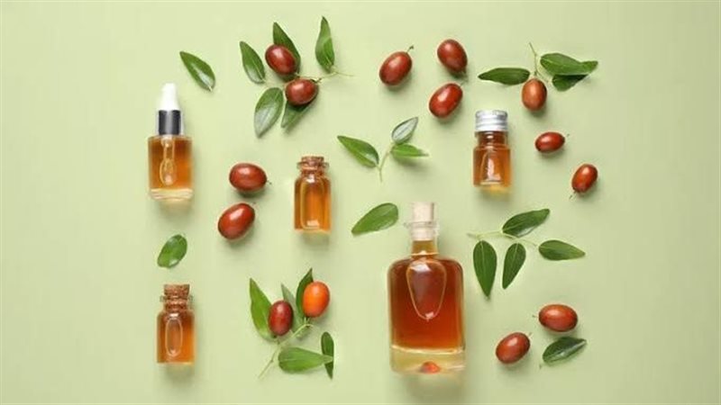 زيت الجوجوبا
