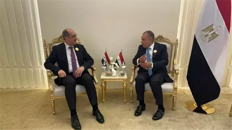 وزيرا الخارجية المصري