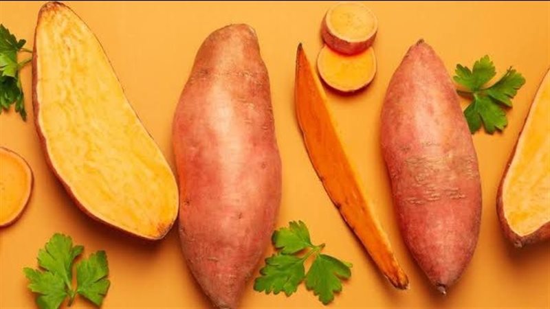 البطاطا