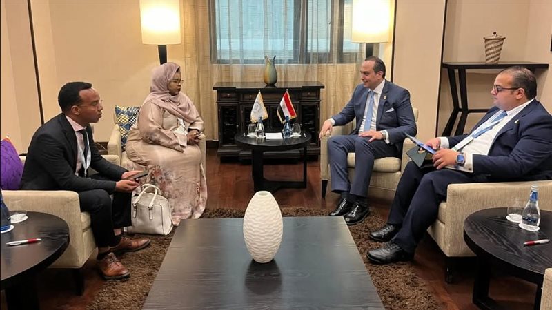 تعاون بين مصر والصومال