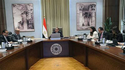  لتوليد الكهرباء من الرياح.. مدبولي يتابع إجراءات طرح محطة جبل الزيت