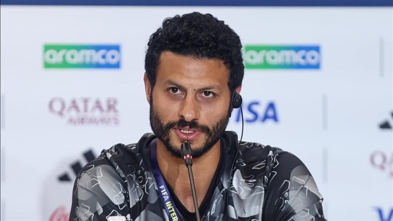 محمد الشناوي