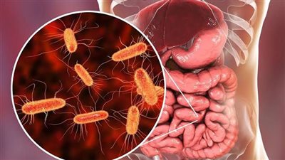 كل ما تحتاج معرفته عن جرثومة المعدة: الأسباب والأعراض وطرق العلاج