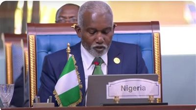 وزير خارجية نيجيريا: ضرورة تأهيل الشباب للعب دور أكبر خلال المرحلة المقبلة