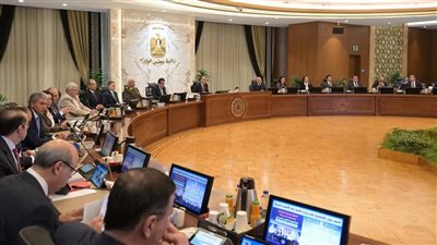 منها إنشاء مقر مكافحة المخدرات.. أبرز قرارات مجلس الوزراء خلال الاجتماع الأسبوعي