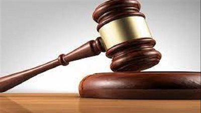 الجنح تؤجل محاكمة سائق ميكروباص حادث «ترعة الإبراهيمية» بتهمة الإهمال