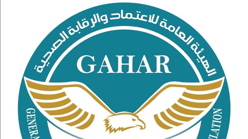 الهيئة العامة