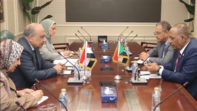 تعاون مشترك بين مصر والسودان فى مجالات الكهرباء والطاقات المتجددة