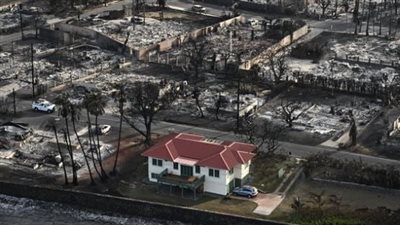 حقيقة الصورة المتداولة للناجى الوحيد من حرائق لوس أنجلوس 