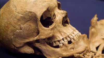 حكاية طقوس ما قبل التاريخ تكشفها مجموعة من الجماجم مع الموتى