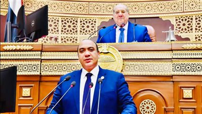 برلماني: عيد الشرطة يمثل علامة فارقة ونقطة مضيئة في صفحات التاريخ المصرية